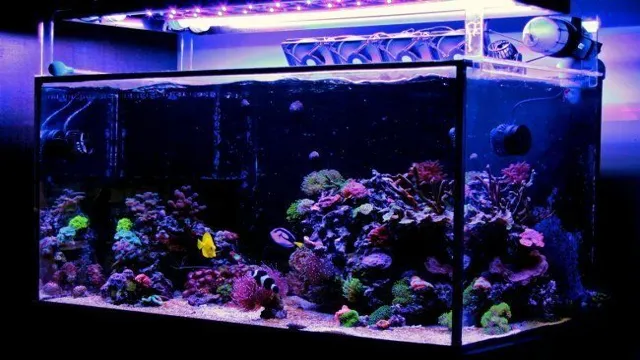 how thick is a 55g aquarium