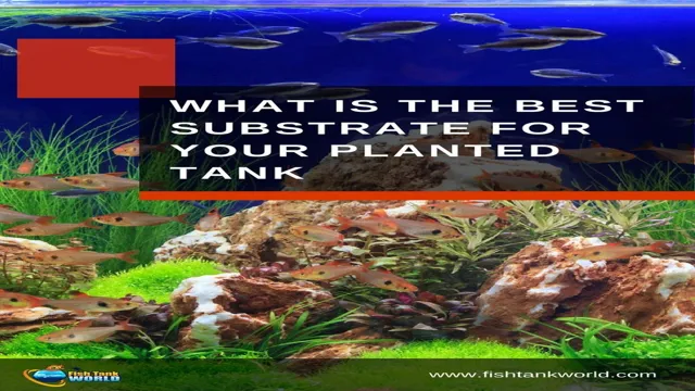 How Thick is Each Layer of Planted Aquarium Substrate? A Comprehensive Guide.