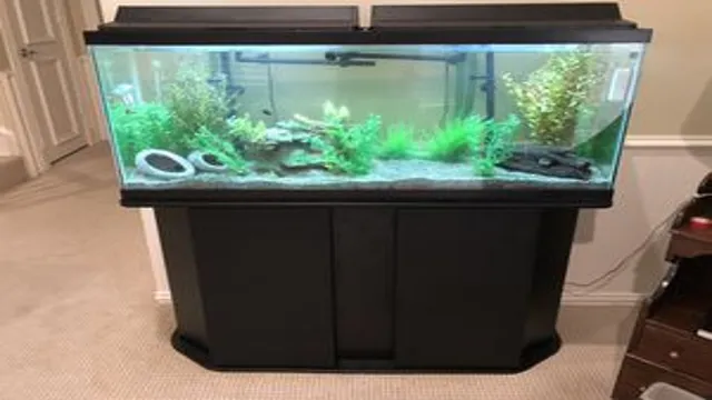 How Thick is Glass Used for Fish Aquarium? A Comprehensive Guide for Fish Enthusiasts