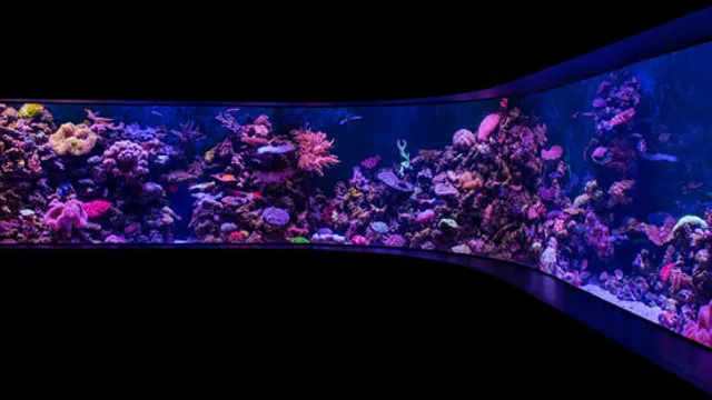 how thick is standard aquarium glass