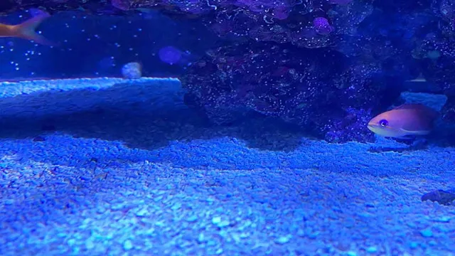 how thick sand aquarium