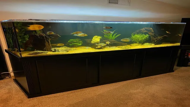 How Thick Should Glass Be for a 180 Gallon Aquarium: A Comprehensive Guide