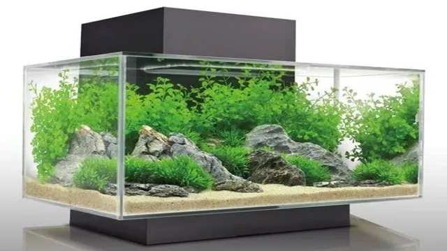 How Thick Should the Walls of a Plexiglass Aquarium Be to Ensure the Safety of Your Fish?