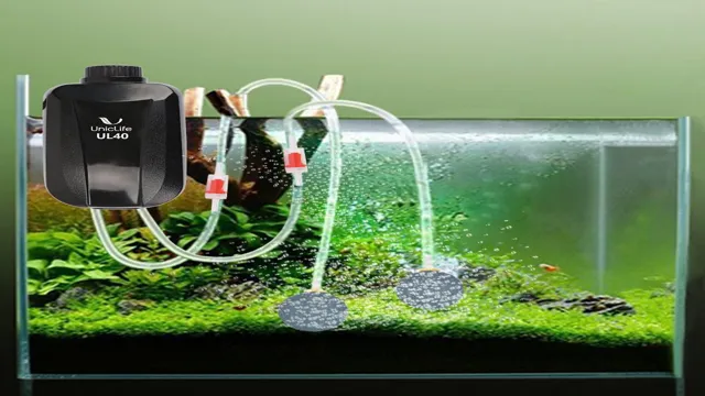 How to Size an Aquarium Air Pump: The Ultimate Guide for Properly Sizing Your Pump