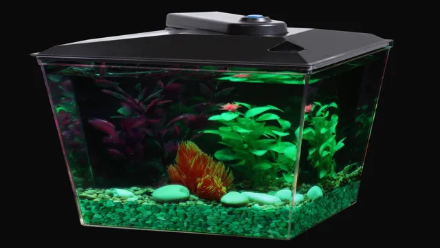 how to 1 gallon aquarium