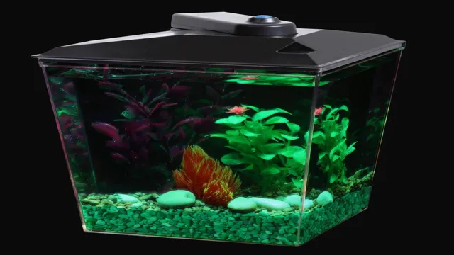 How to Set Up and Maintain a Healthy 1 Gallon Aquarium: A Beginner’s Guide