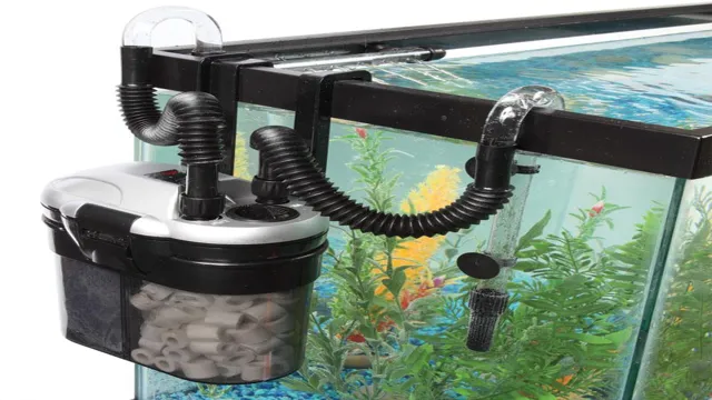 How to Build In a 3 Canister Aquarium Filter: The Ultimate Guide