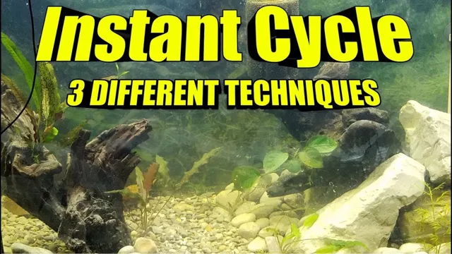 how to accelerate aquarium cycle