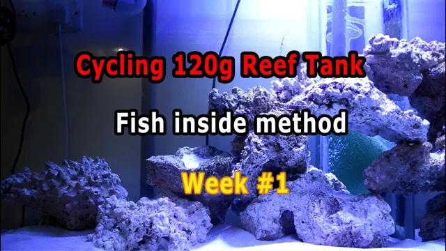 how to accelerate aquarium cycle