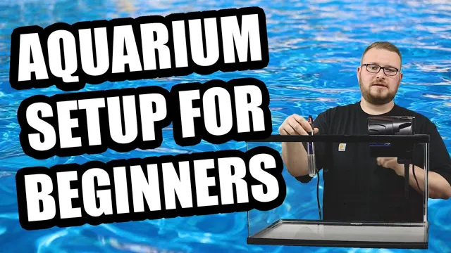 how to access my onlinr aquarium