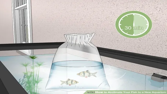 how to acclimate platies to aquarium