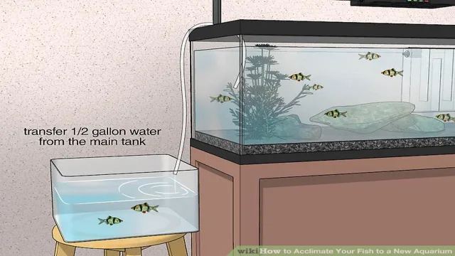 how to acclimate pods to your aquarium