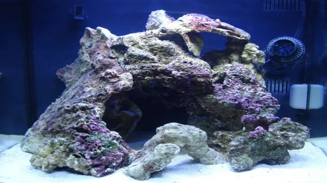 how to acculmate live rock to saltwater aquarium