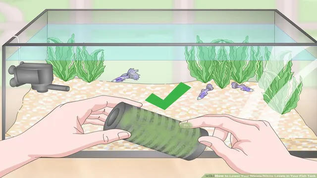 How to Accurately Measure Nitrates When Using Fertilizer Aquariums: A Step-by-Step Guide.