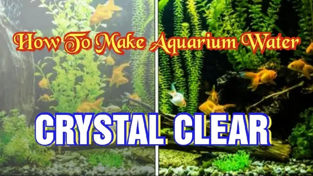 how to achieve clear aquarium water