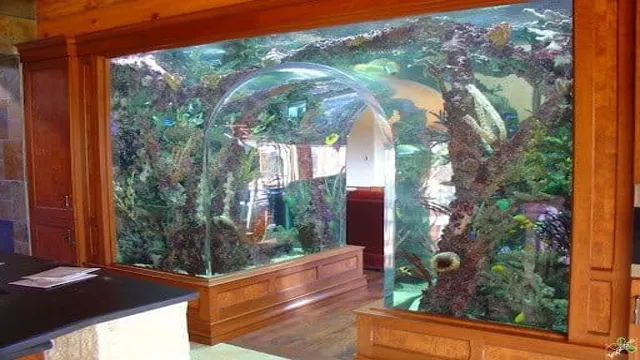 How to Activate Aquarium Arch in 5 Easy Steps for Stunning Aquatic Décor