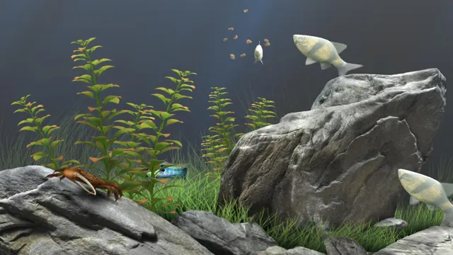 how to activate dream aquarium