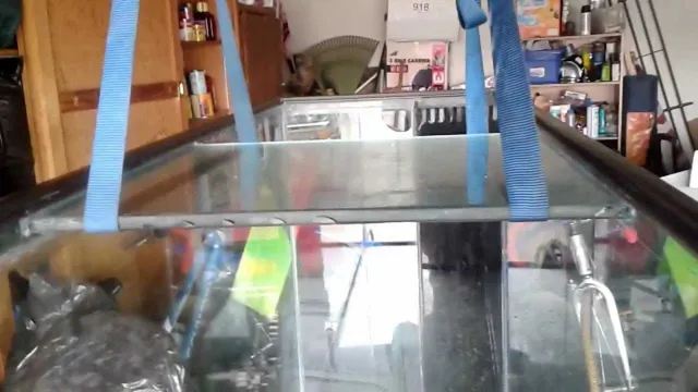 How to Add a Center Brace to an Aquarium: Step-by-Step Guide for Enhanced Stability