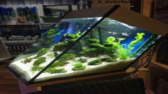 how to add a decoration to an existing aquarium