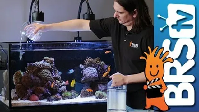 how to add alkalinity to aquarium