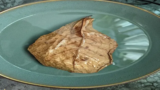 how to add almond leaves to aquarium