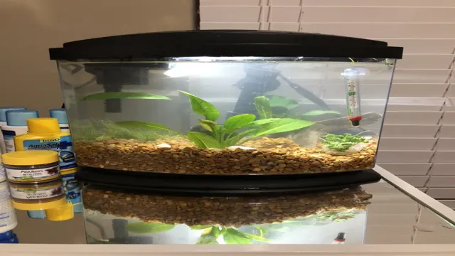 how to add ammonia to aquarium