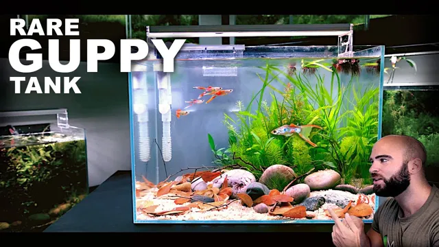 how to add aquarium salt to a guppy tnak