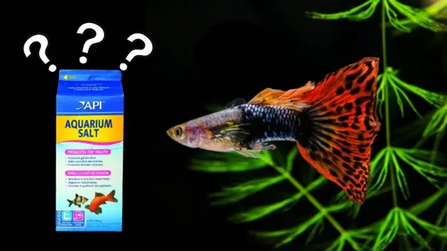 How to Add Aquarium Salt to a Guppy Tank: A Step-by-Step Guide