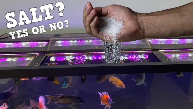 how to add aquarium salt to aquarium