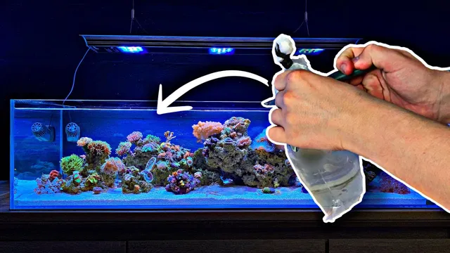 how to add aquarium salt to fish tank