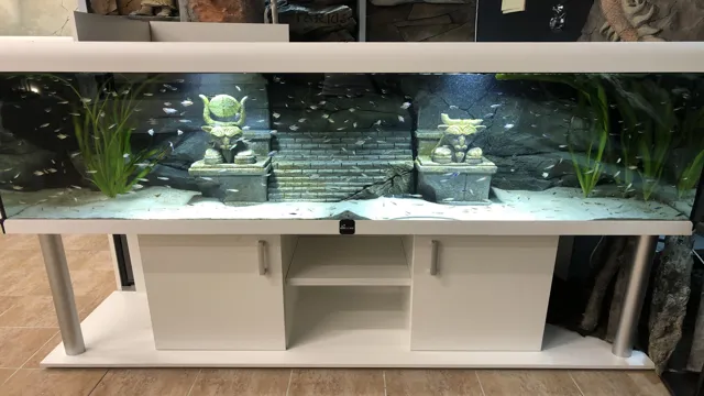how to add background to aquarium