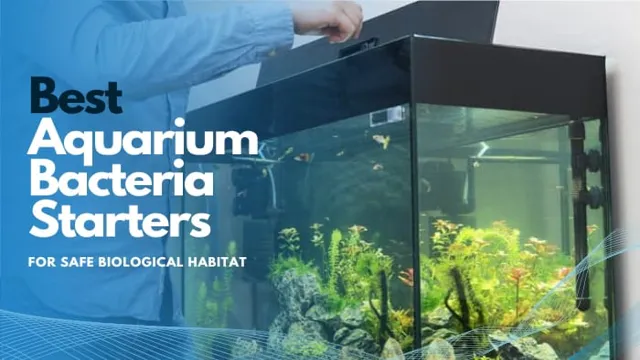 how to add bacteria to aquarium