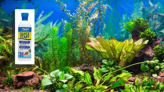 how to add beneficial bacteria to aquarium