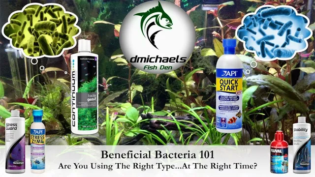 How to Add Beneficial Bacteria to Aquarium: Tips and Tricks for a Healthy and Thriving Tank