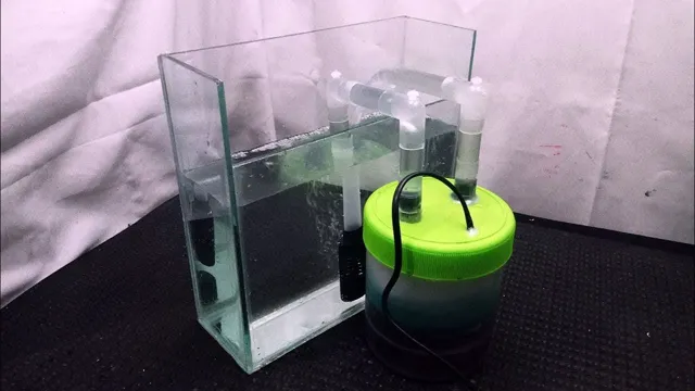 how to add biological filtration in aquarium