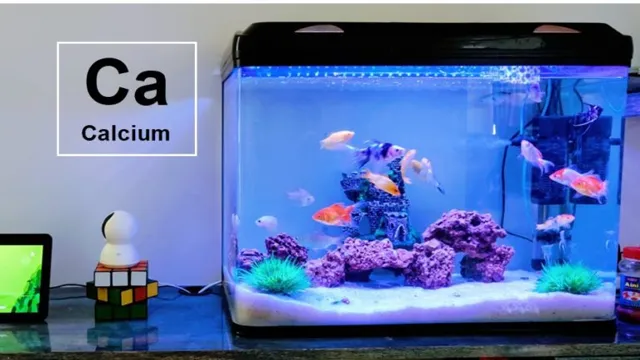 How to Add Calcium to Freshwater Aquarium – A Comprehensive Guide for Healthy Fish