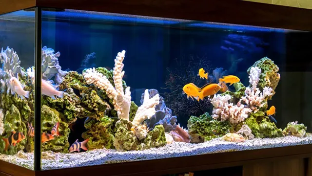 How to Add Calcium to Reef Aquarium: A Simple Guide for Optimal Reef Health