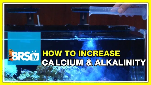 how to add calcium to water naturally for aquarium