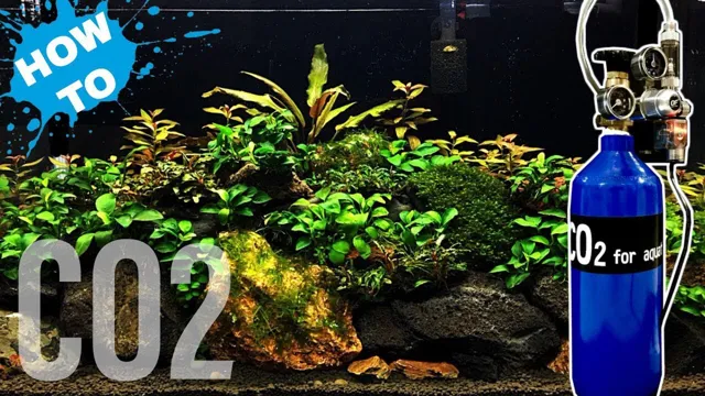 How to Add CO2 to Your Aquarium for Optimal Plant Growth: A Step-by-Step Guide