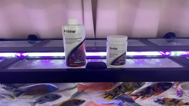 How to Add Dechlorinator When Changing Large Aquarium Water in 5 Simple Steps