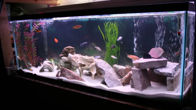 how to add decorations to aquarium after putting water