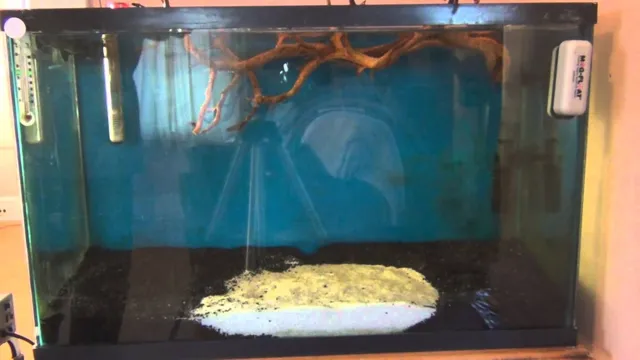 how to add driftwood to aquarium 2