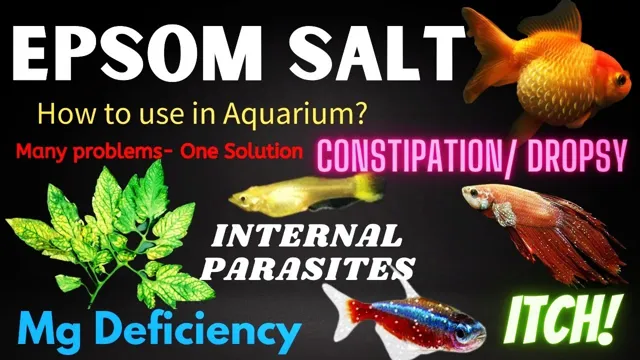 how to add epsom salt to aquarium