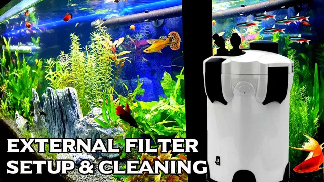 How to Add Extra Filter to the Aquarium Kit: Step-by-Step Guide to Improving Water Quality