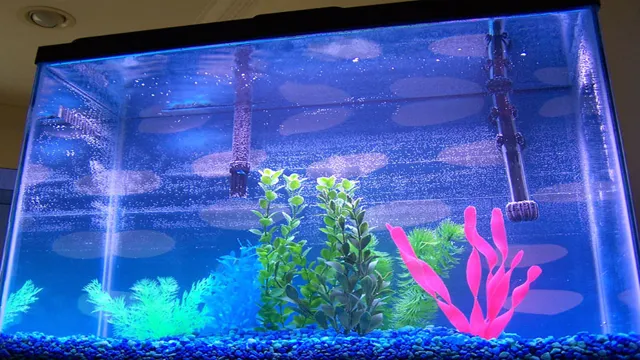 how to add extra filtration to your aquarium