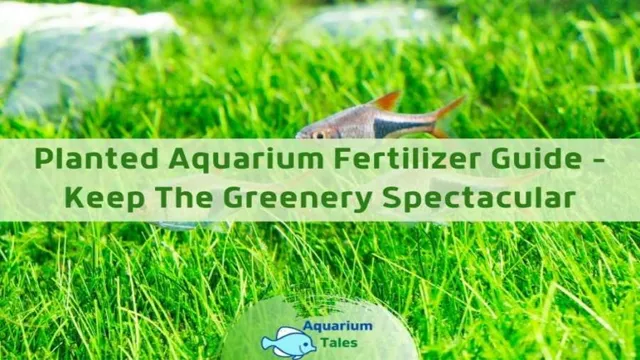 how to add fertilizer to aquarium plants