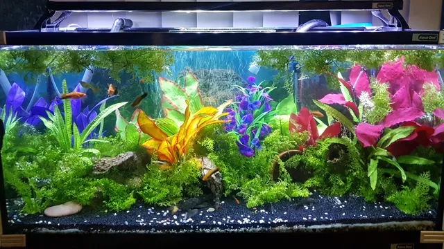 how to add fish to a new community aquarium