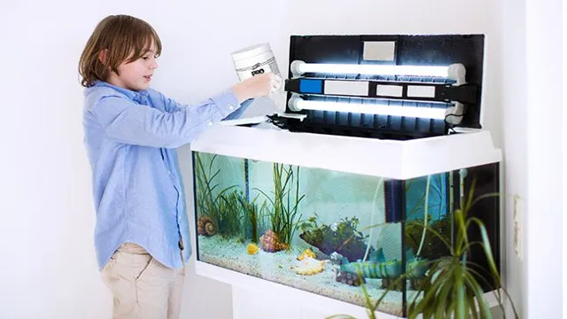 How to Add Fish to a Newly Cycled Aquarium: A Step-by-Step Guide