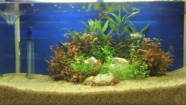 how to add gravel in aquarium with fish in it