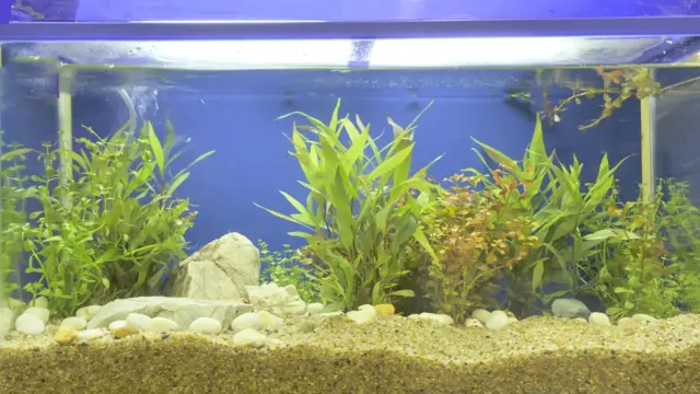 how to add gravel in aquarium with fish in it